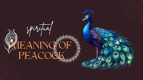 Spiritual Meaning of Peacock