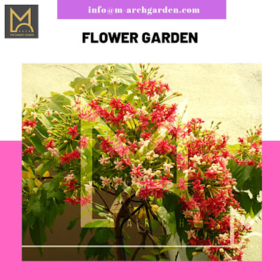  flower garden | M-arch garden