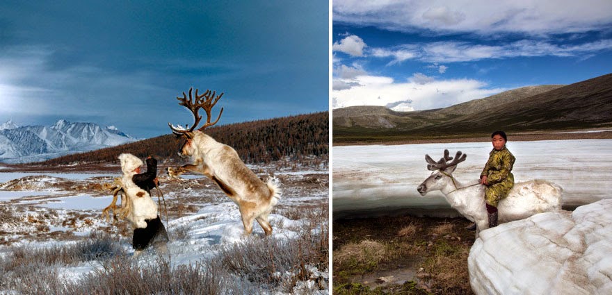 The Everyday Life Of Reindeer People Living In Mongolia