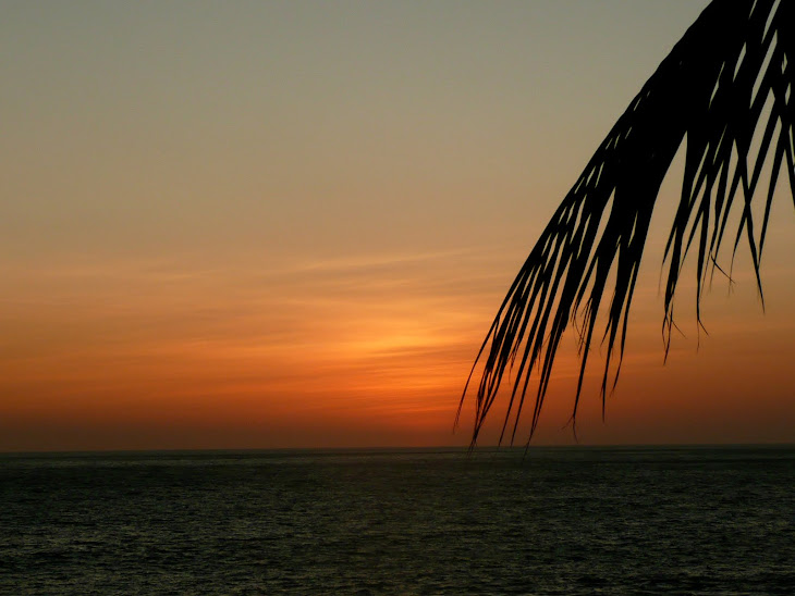 El Transito Sunset
