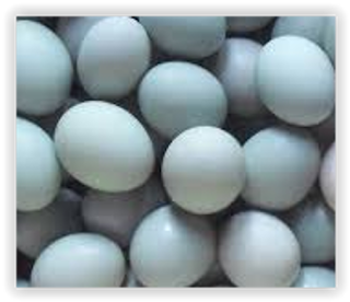 Cara Mudah Membedakan Telur Asin Asli dan Palsu1, Cara Mudah Membedakan Telur Asin Asli dan Palsu2, Cara Mudah Membedakan Telur Asin Asli dan Palsu3