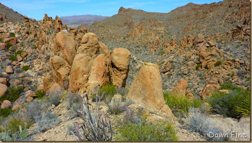 Grapevine to Balanced rock_037