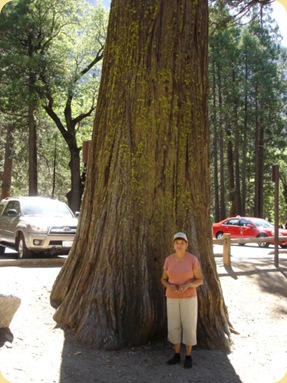 Yosemite National Park, CA 146