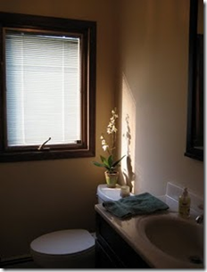 barewindow