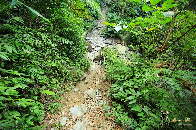 三峽雲森瀑布楓紅