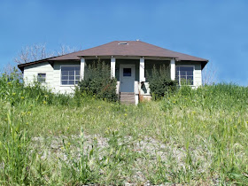 house with weeds