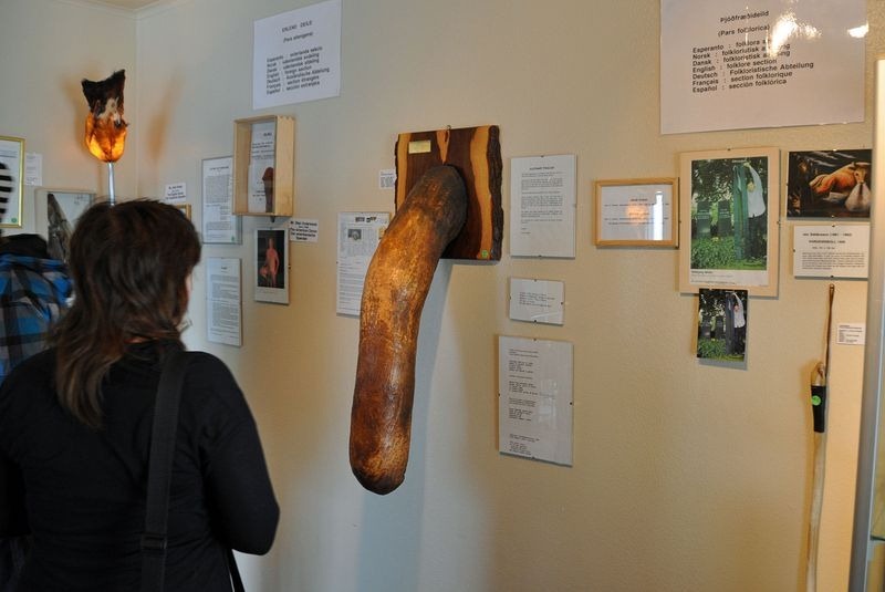 icelandic-phallological-museum-3