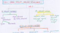 Jenis Ralat 2019