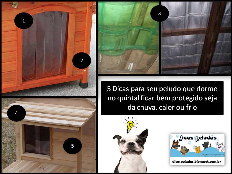 Imagens de como fazer casinha de cachorro