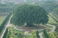 Alun-Alun Selatan Lumajang.