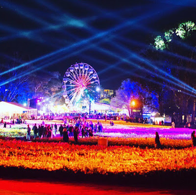 Nighfest Taman Bunga Floriade