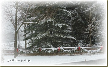 Just too pretty fence