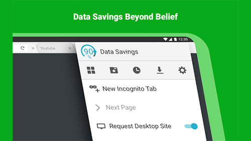 Browser Data Savings