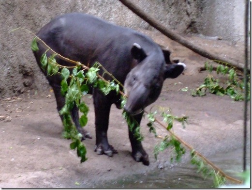 Zoo 171