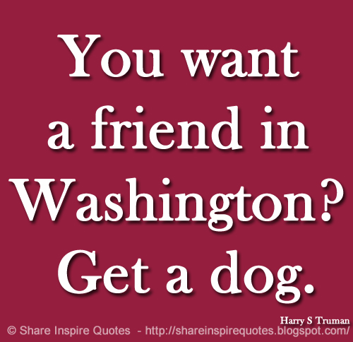 You want a friend in Washington? Get a dog. ~Harry S Truman