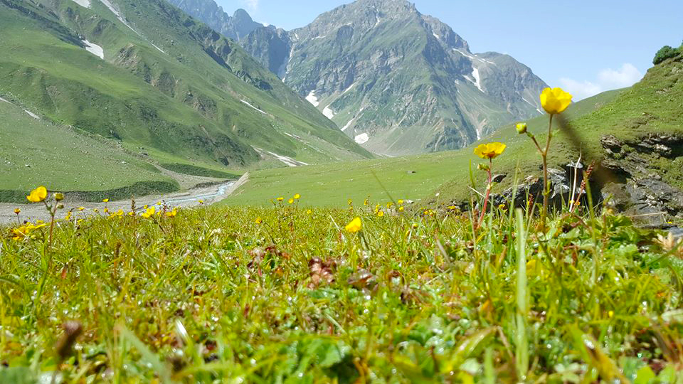 largest meadows in Khyber Pakhtunkhwa. Chor/Chorr valley Allai. Allai valley meadows. Travel Allai valley Battagram. Chor valley meadows.