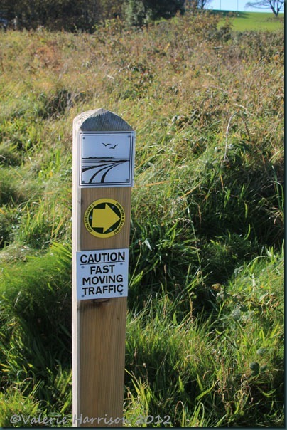 6-next-sign