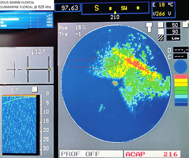 Ηχοβολιστική απεικόνιση του ναυαγίου με Imaging Sonar στα 525 khz που φέρει το υποβρύχιο τηλεκατευθυνόμενο όχημα ROV μαζί του. Διακρίνεται το ναυάγιο του Floreal σε βάθος 97,6 μέτρα. – Imaging Sonar @ 525 khz.