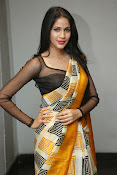 Lavanya Tripathi glam pics in saree-thumbnail-31