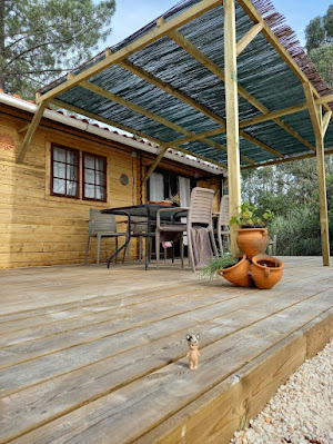 Rocky op ons houten terras voor de overkapping, waar een tafel en 4 stoelen onder staan