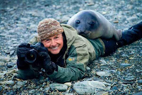 funny animals of the week, funny seal