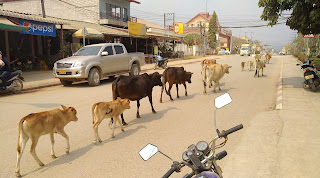 Laos