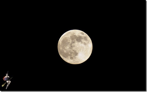 SONY DSC