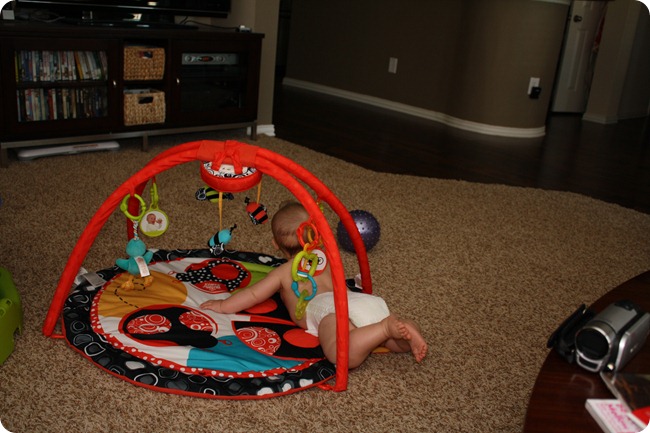 IMG_2607 IMG_2607