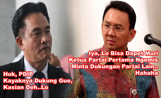 Ahok sindir Yusril Ketua Partai Malah Ngemis ke Partai lain, Pedas banget sumpah!