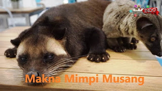 Tafsir Mimpi Musang