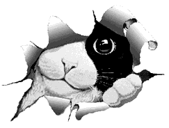 Blog da Tuska