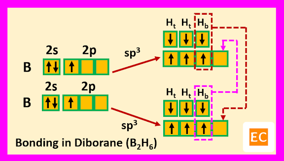 bonding-in-diborane-B2H6