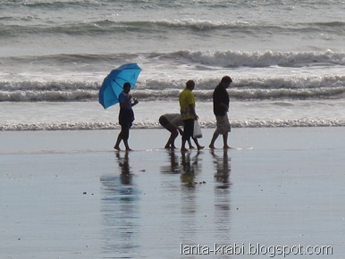 Wandering on the Beach