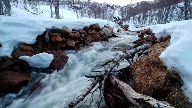 Tromso i okolice, co warto zobaczyć?