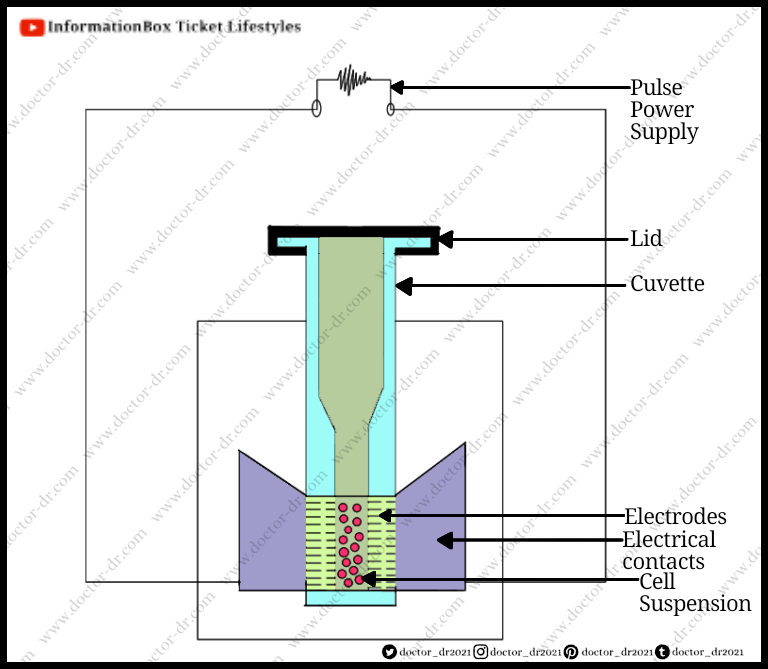 Electroporation