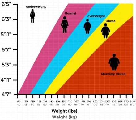 Bmi Calculator Nutrition Guide Diet Plan Diet Review