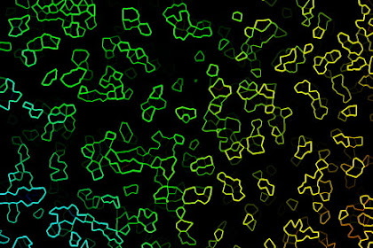 Neon Camo
