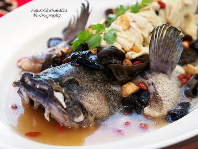 Steamed Dragon Tiger Garoupa With Black Fungus & Beancurd Stick