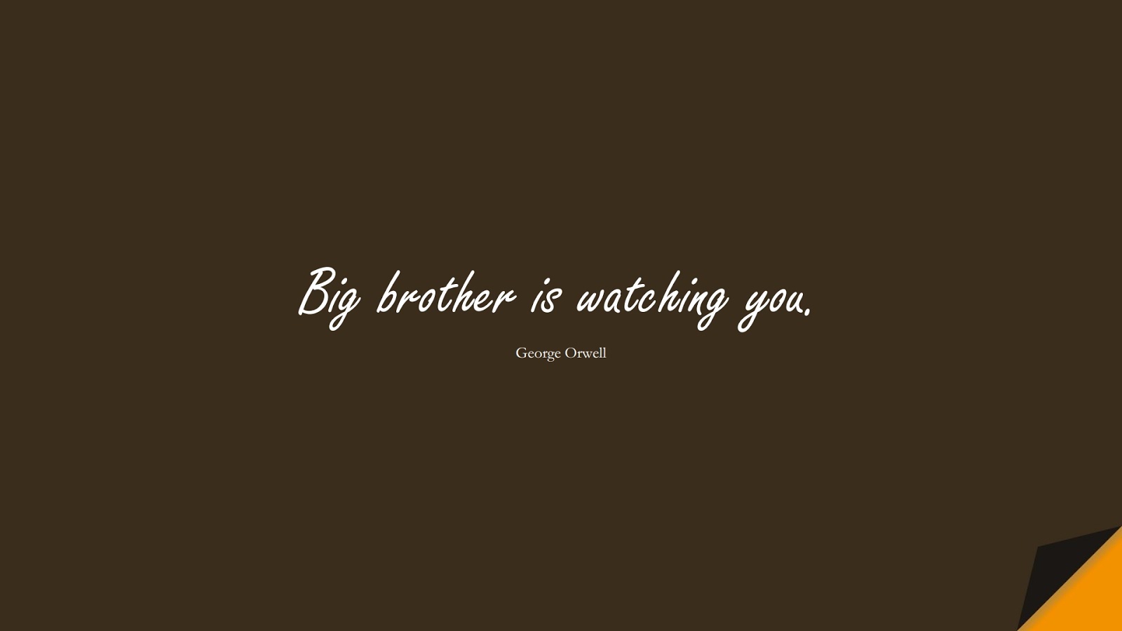 Big brother is watching you. (George Orwell);  #FamousQuotes