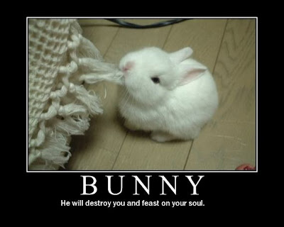 Funny Animal Demotivational Posters Seen On www.coolpicturegallery.us