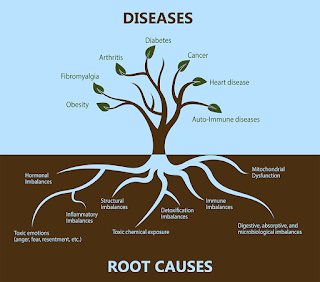 integrative health and functional medicine