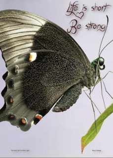 life is short be strong images with butterfly