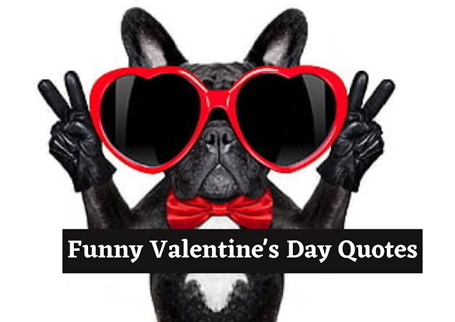 132 Best Funny Valentine's Day Quotes for Him and Her