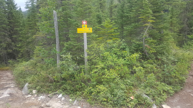 Sentier en direction vers le sommet Eudore-Fortin.