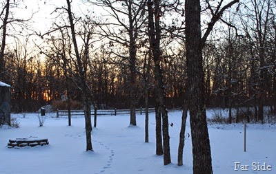 Sunset Jan 1