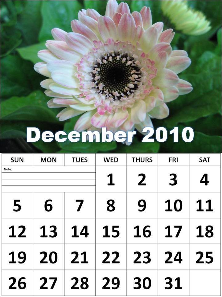 december 2010 calendar. December 2010 Calendar