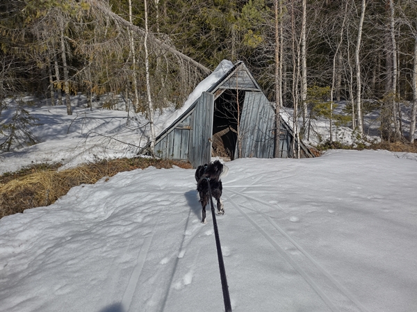 breivannet skitur