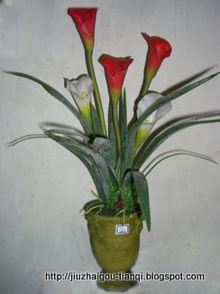 兰花 花:hua-09020511552034