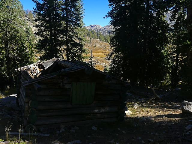 170: log building with half the roof colapsed in