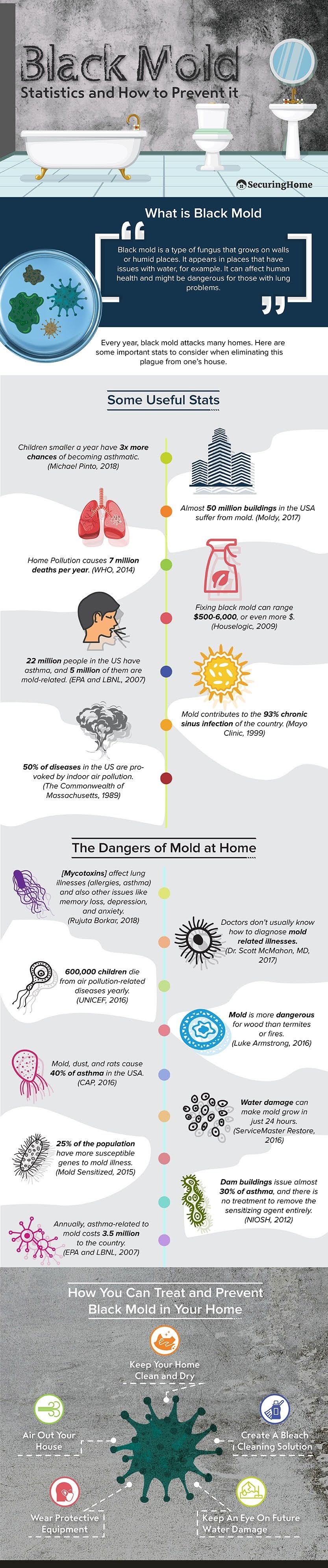 How to Get Rid of Black Mold? infographic